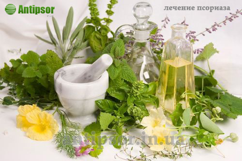 fitoterapiya clever use of herbs in psoriasis